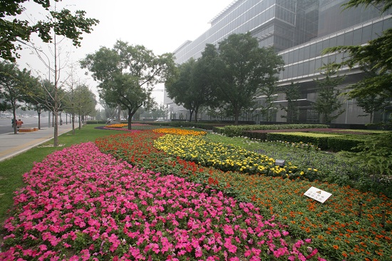 長(zhǎng)安街建國(guó)路景觀大道規(guī)劃建設(shè)