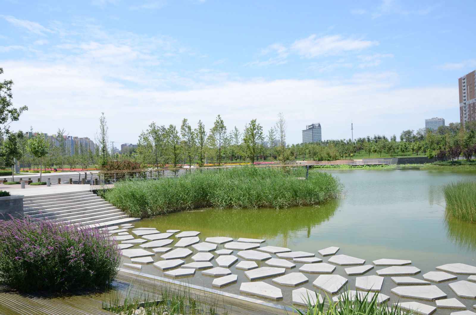 北京大望京公園規(guī)劃設計賞析