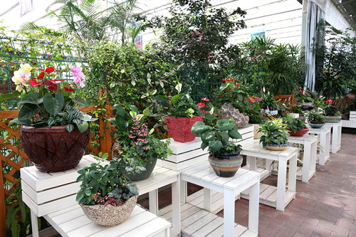 深入企業(yè)共話(huà)園林發(fā)展——風(fēng)景園林部落一行參觀考察西湖山莊項(xiàng)目