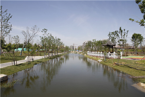 園冶杯專(zhuān)業(yè)獎(jiǎng)：鳳陽(yáng)縣新城區(qū)水系治理工程