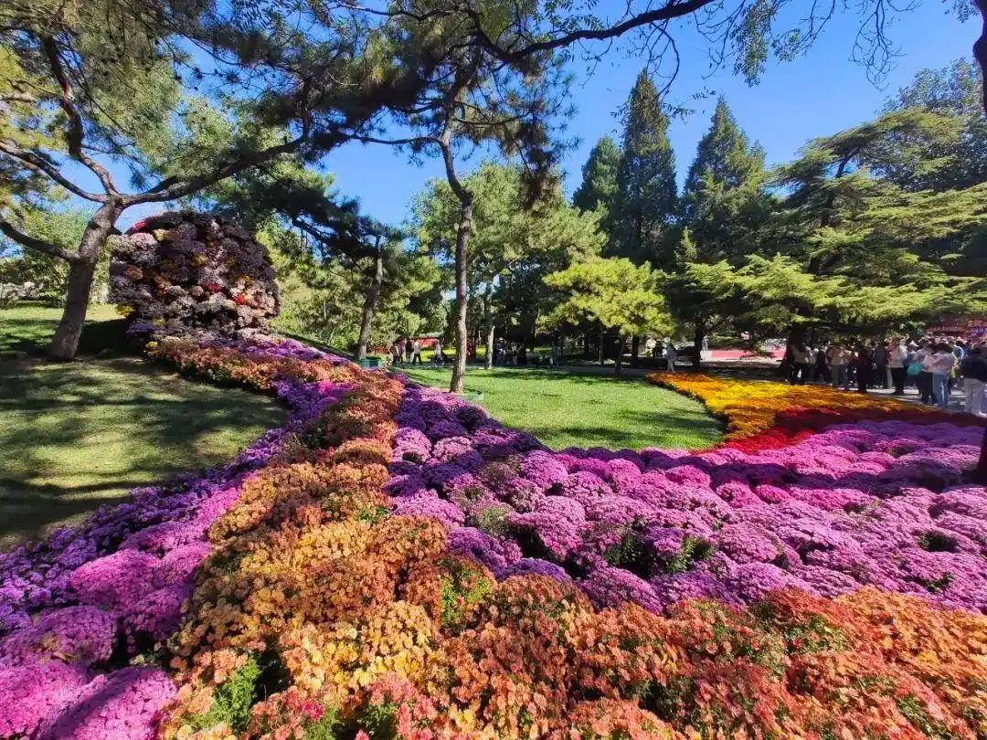 “公園+”激活花園經(jīng)濟(jì) 朝陽花園節(jié)3月20日啟幕